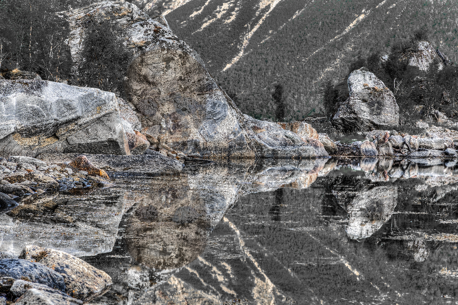 Midnight Reflections V